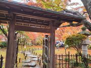 いざのりさんのもみじ園の投稿写真1
