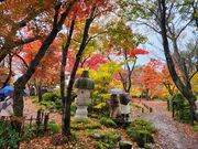 いざのりさんのもみじ園の投稿写真2