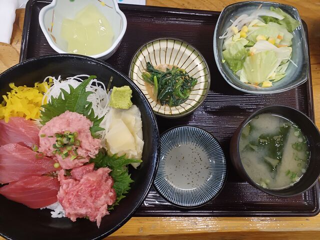 丼+ 定食のセット_さかな屋すし魚健
