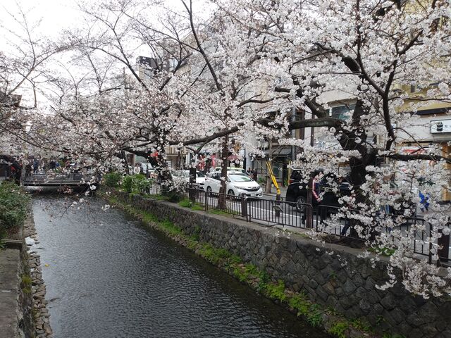 高瀬川。_高瀬川(一之船入跡)