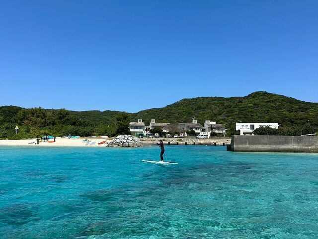自分たちが遠目のもの載せますが、もっと近くでいろいろ撮っていただけます!_Chinajun Zamami
