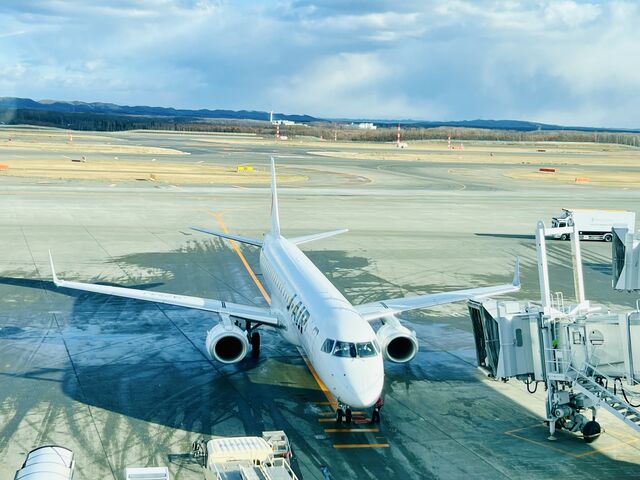 新千歳空港 JAL
(空港内広い。お土産、ラーメン食べ比べ、温泉に入ってゆっくりするのも良いです)_新千歳空港ターミナルビル