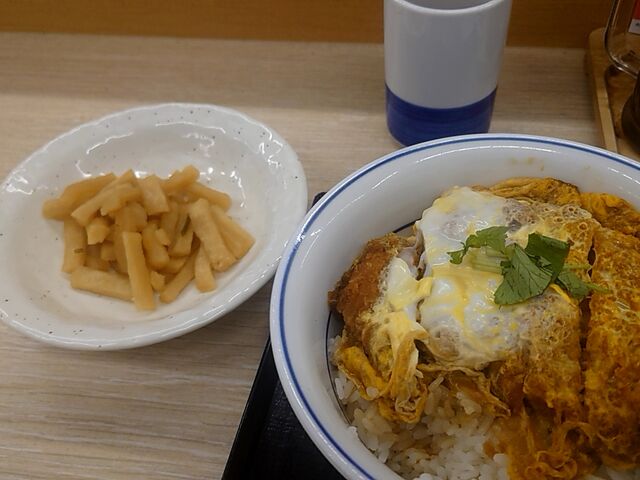 こんな感じです_かつや 東京西葛西店