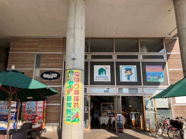 奈半利駅物産館 無花果