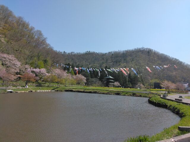 こいのぼり、桜、三重塔_道の駅たかはた・まほろばステーション