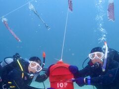 amiさんの伊豆高原ダイビングスクール リトルリッツへの投稿写真1