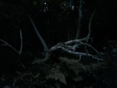 ひでさんのスローダイブ石垣島への投稿写真1