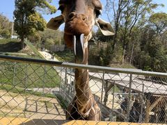 しろとり動物園の写真3