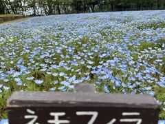 メナード青山リゾートの写真1