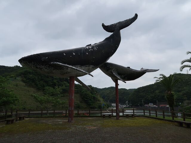 ひでちゃんさんの太地海岸の投稿写真1