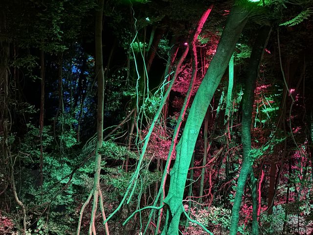 イメージ通りの音楽が流れています。_五浦温泉