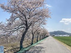 イチゴハウスフルーミングの写真2