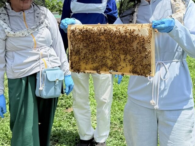 大人も貴重な体験に盛り上がります!_いやしの里養蜂場