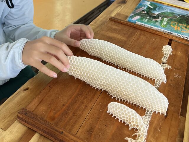 養蜂家さんの楽しい説明を聞きながら。_いやしの里養蜂場