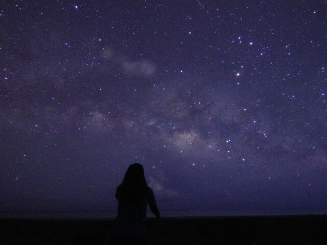 写真の一部_Sea star 石垣島