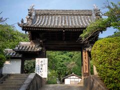 野崎観音 慈眼寺の写真2