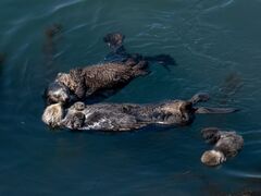 フォトツアー~KEARASHI~の写真1