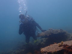 カアナパリの写真2