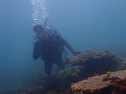 都市さんのカアナパリの投稿写真2