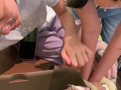 ハリネズミ専門cafe HARRY WOOD(ハリーウッド)なんば店の写真2