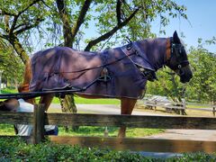 YTさんの伊香保グリーン牧場への投稿写真1