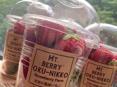 Mt.Berry 奥日光の写真1