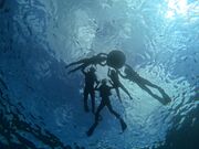 まんさんさんの沖縄マリンサービス碧の投稿写真1