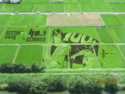 波平さんの東埼玉資源環境組合の投稿写真1