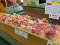 mieさんの御坂農園グレープハウスへの投稿写真1