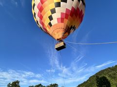 北海道ライオンアドベンチャーの写真1