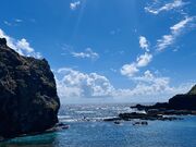 kaonさんのダイビングスクールBlueFactoryの投稿写真1