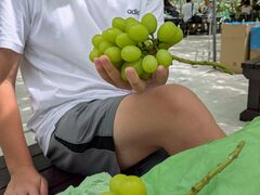 まるよし果樹園の写真2