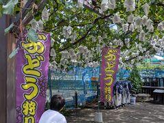 まるよし果樹園の写真4