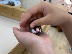 小動物カフェ ロックスター なんばパークス前店の写真2