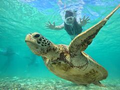 宮古島マリン SUGAR3の写真1