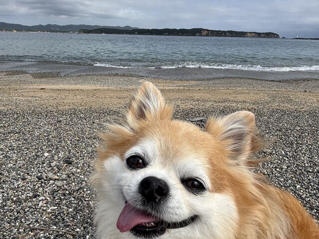 今日も海を見に行ってきたよ_浦ノ浜
