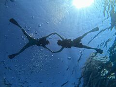 とりたろうさんのSeaWorldへの投稿写真1