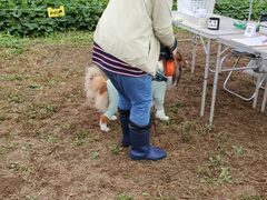 日の出町観光協会の写真2