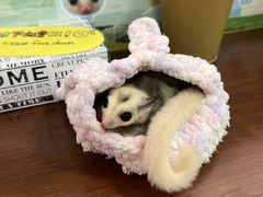 コツメイト池袋サンシャイン店の写真2