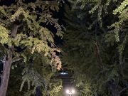 ウッキーさんの熊本県庁の投稿写真1