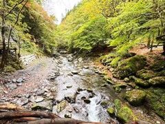 甘辛熊さんの祖谷渓への投稿写真1