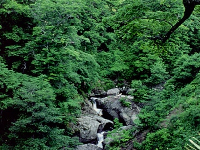 熊戻り渓谷の写真1