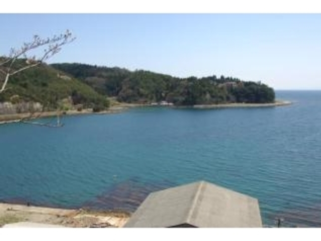 田ノ浦海岸の写真1