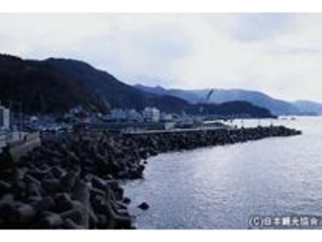 越前漁港_越前漁港