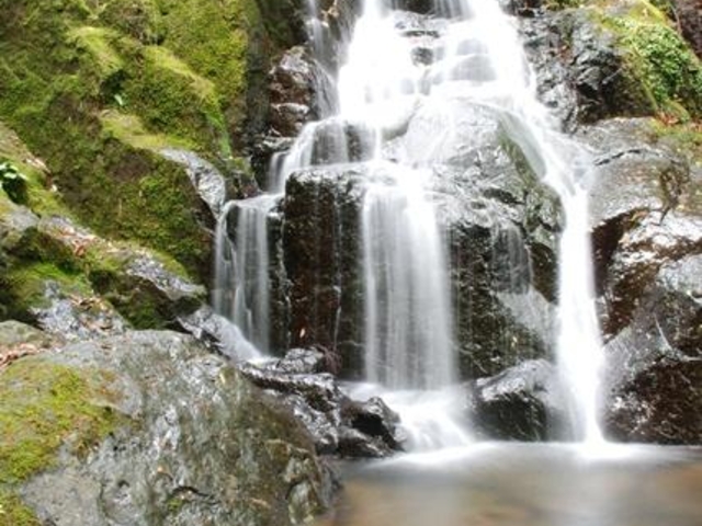 音羽渓谷の写真1