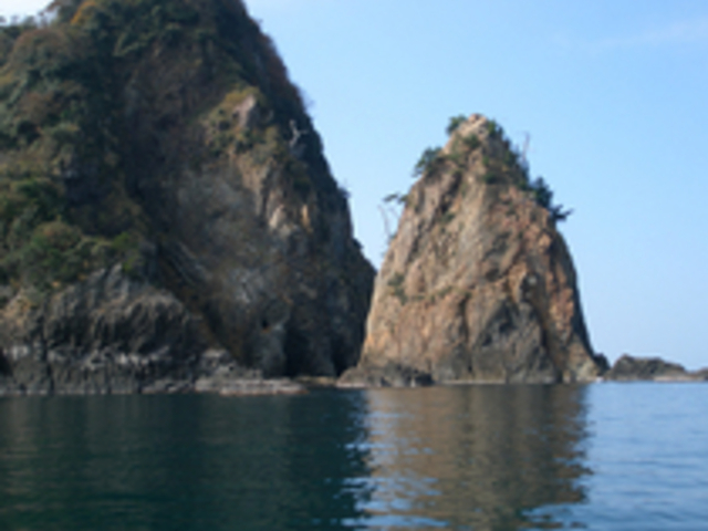 海金剛