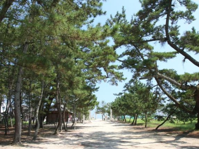 志島ヶ原_志島ヶ原