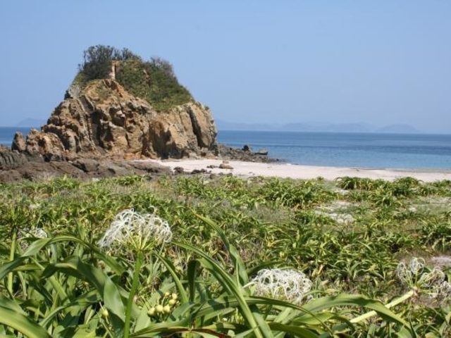 日振島沖の島の写真1