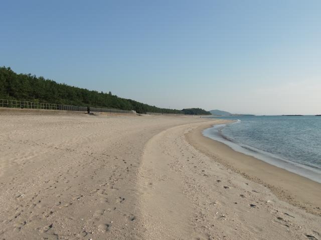 照島海岸の写真1