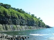鮪の岬の写真1